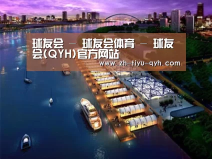 案例展示八